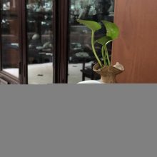 小预算怎么挑正经平安扣