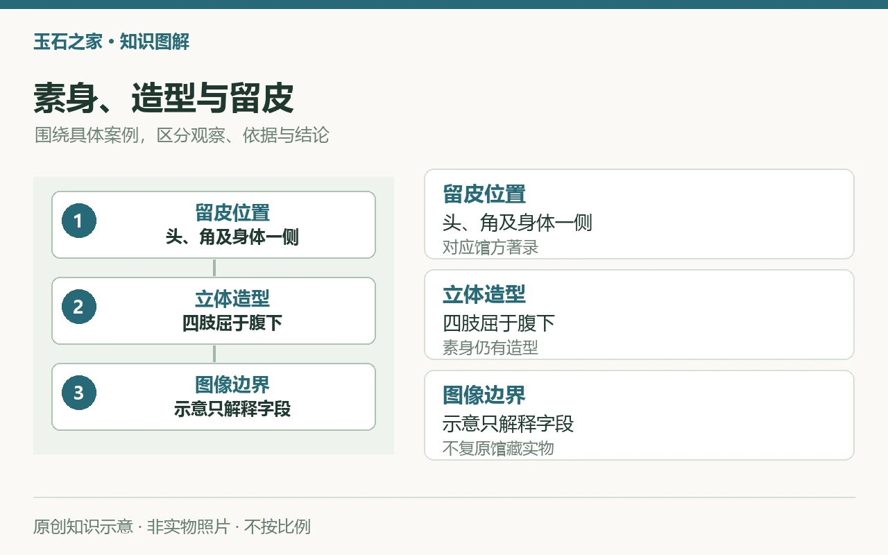 素身、造型与留皮:留皮位置,头、角及身体一侧,对应馆方著录;立体造型,四肢屈于腹下,素身仍有造型;图像边界,示意只解释字段,不复原馆藏实物。原创示意,非实物照片。
